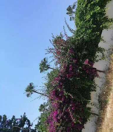 Вилла Cimtur Tatil Sitesi 3+1 *